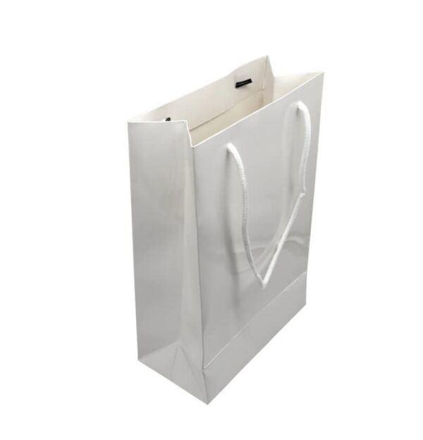 Sublimation Paper Gift Bag - Image 2
