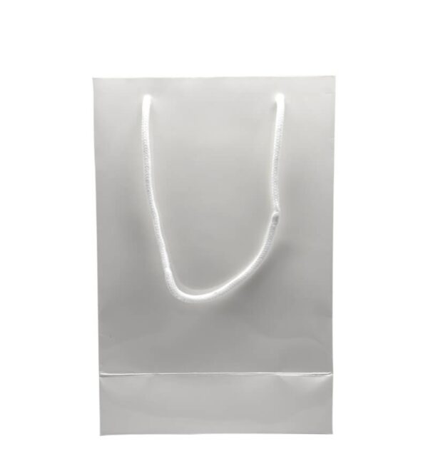 Sublimation Paper Gift Bag