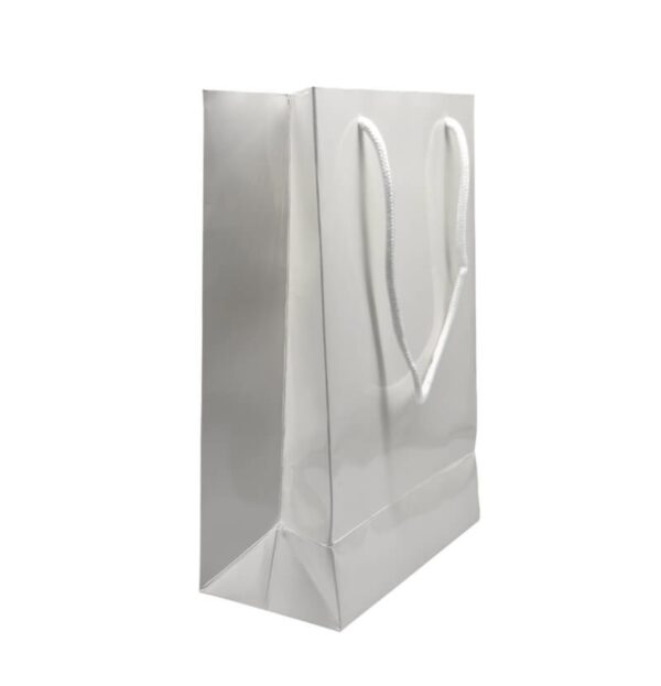 Sublimation Paper Gift Bag - Image 4